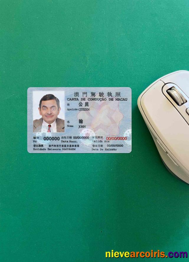 Macau driving license photolook